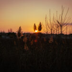 Paysage-1